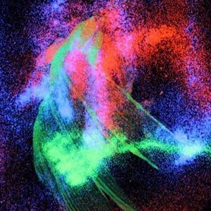 Meet your Posher, Gabby